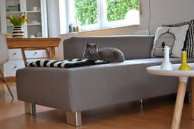 Zilly, mein erstes Bild!