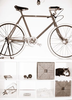 Pashley