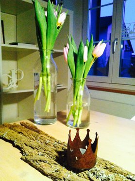 verfrühter Frühlingsgruss