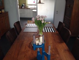 Bisschen Frühling gefällig...?