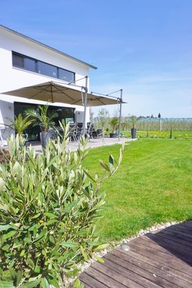 Endlich wieder draußen.....