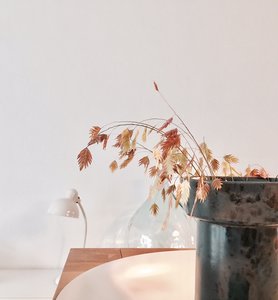 Meine Herbstfarben sind......