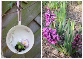 Sammeltasse mit gefilztem Gänseblümchen