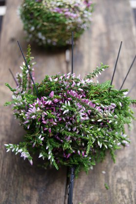 DIY - Deko-Idee mit Heidekraut