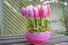 Wachsschälchen mit Tulpen