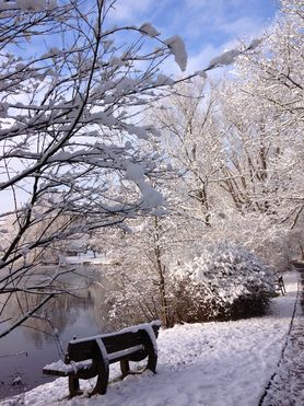                     Morgenrunde im Schnee