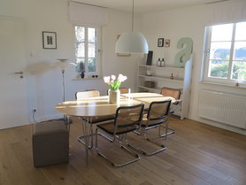 …Januarsonne auf Winter-Tulpen