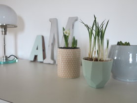 Fotoantwort: So hole ich mir den Frühling ins Haus!
