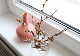 Blumen im Schlafzimmer III