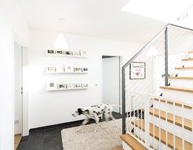 Der Hund oder der neue Flur.