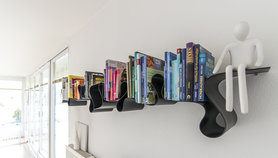 verschlungen (die Bücher und das Regal)