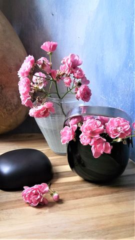 Die letzten Röschen am