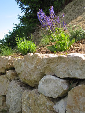 Hügel-Pimp up: Plan steht... Danke an euch!!