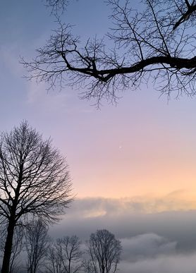 Ein Zwischengruss... Zwischen den