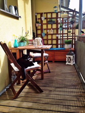 Sonne für's Gemüt  ❤️