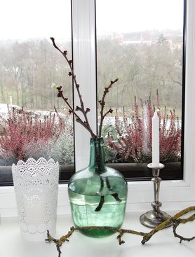 leises Frühlingserwachen ...