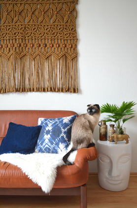 Winnetou loves Indigo