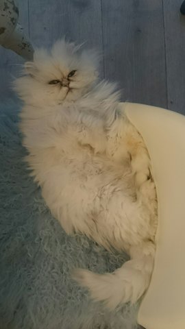 Wenigstens eine....... 