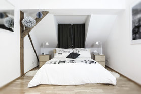 PomPoms erobern mein Heim