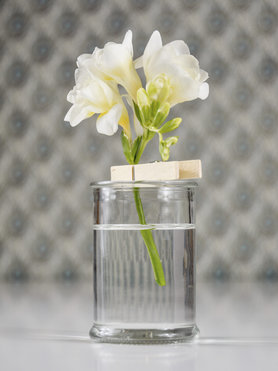 Blume einfach festgeklemmt