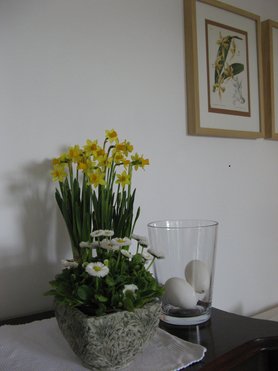 Fotoantwort. den Frühling ins Haus