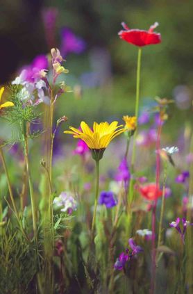 Bild von PeYOUtiFULL