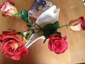 Home, sweet Home ...