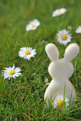 Blumige Osterhasenkekse