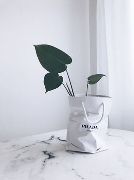 New in... #urbanjunglebloggers