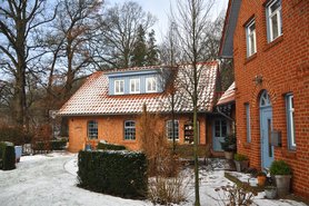 Schnee und Tanne