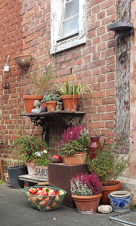 Im Oktober vor der Haustür...
