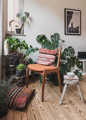 ☀️Heute Sonnenplatz☀️

Endlich wieder Sonnenwärme