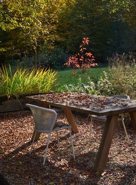 Schön und melancholisch zu