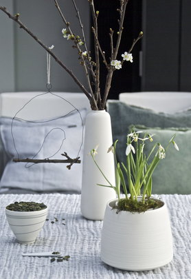 ...Lied eines Vogels