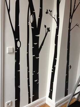 Birken im Jugendzimmer 