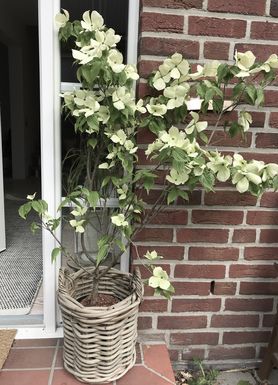 Ich bräuchte nochmal Hilfe