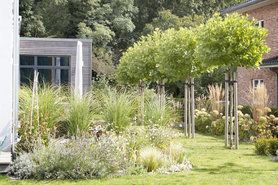 Septemberstimmung im Garten