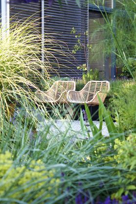 Das späte Abendlicht streift