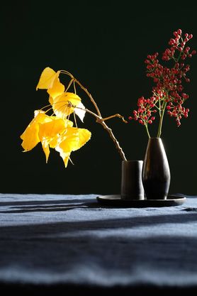 Leuchtender Herbst auf dem