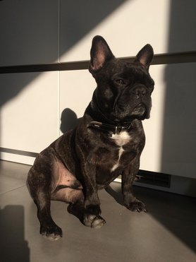 warme sonnenstrahlen - mein 2ter mann im haus *butkuss*