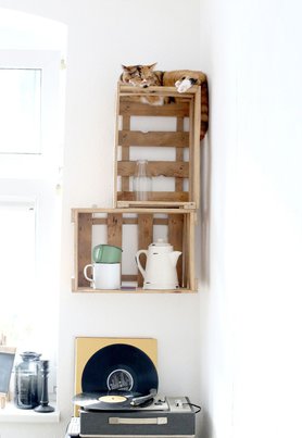 Lieblingsplatz des (Lieblings)Mitbewohners