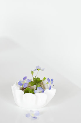 Der Frühling ist zurück!