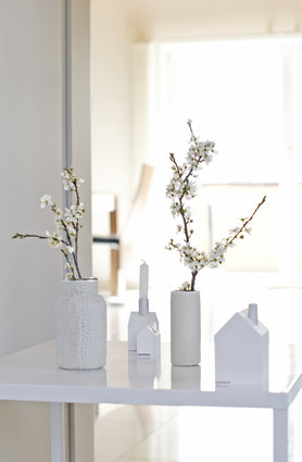 Marillenblüten in DIY Vasen