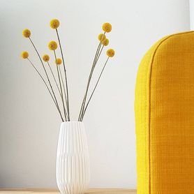 Frische Trommelstöckchen