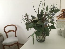 Der Affe hat alles im Blick