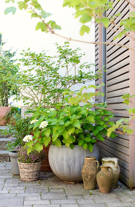 Meine Art von 'Greenery' ☺️.