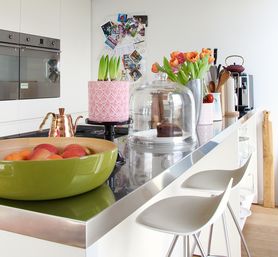 Die ersten Frühlingsboten sind