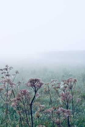 Eine nicht ganz „fangfrische“