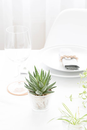 Tischdeko mit Pflanzen