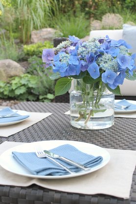 Garten 2016: Hortensienliebe